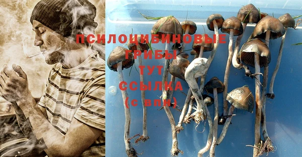 не бодяженный Красноперекопск
