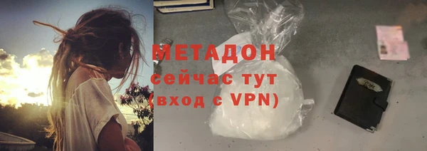крисы Корсаков