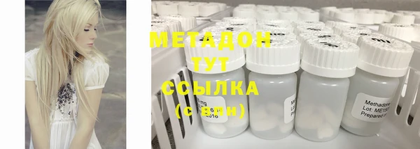 крисы Корсаков