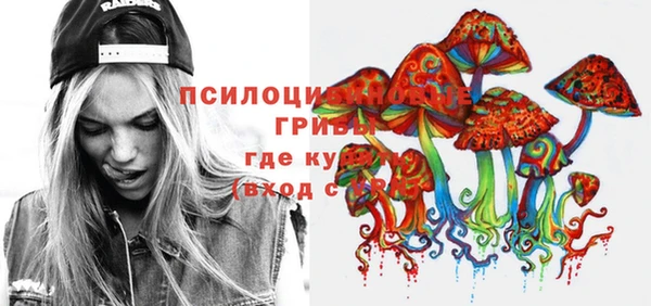 амф Краснослободск
