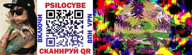 Галлюциногенные грибы Psilocybine cubensis  Купить  Донецк 